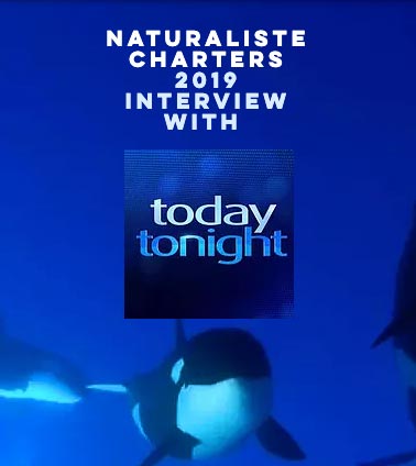 naturaliste charters interview