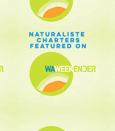 Naturaliste Charters featured on WA weekender