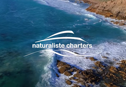 Naturaliste Charters Our Story Australian Wildlife Journeys